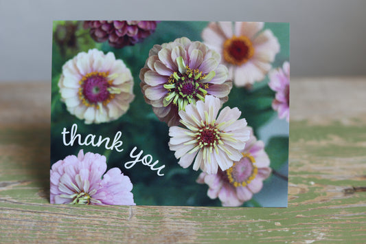 Zinnia Thank You (set of 5)